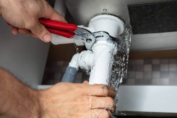 Best Mold removal after water damage  in Sanford, ME