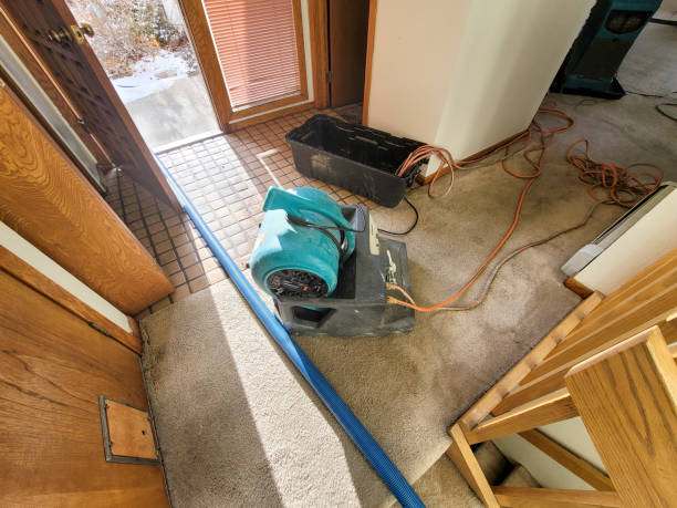 Best Commercial water damage restoration  in Sanford, ME