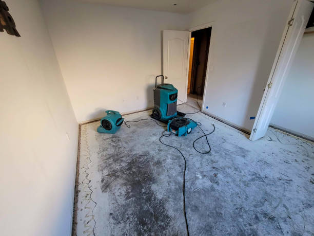 Best Water damage restoration near me  in Sanford, ME