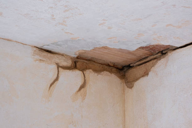  Sanford, ME Water damage restoration Pros