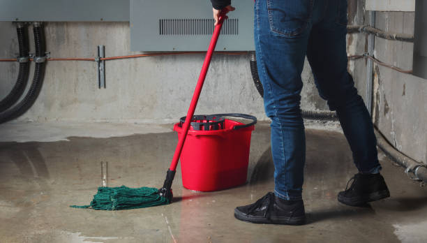 Best Basement water damage restoration  in Sanford, ME
