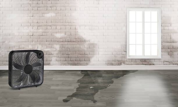 Best 24-hour water damage restoration  in Sanford, ME
