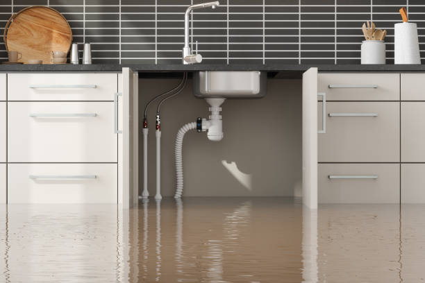 Best Sewage cleanup and water damage restoration  in Sanford, ME